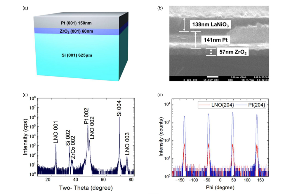 「KRYSTAL<sup>®</sup> Wafer」上でのLaNiO₃薄膜の高品質成長。(a) 基板の構造。(b) 薄膜断面の電子顕微鏡画像（膜厚 約140 nm）。(c)(d) X線回折分析により、Si基板上でも単結晶基板に匹敵する高い結晶性でLaNiO₃が成長していることを確認。（論文より引用）